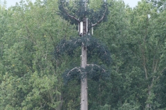 NEW-FARM-005
